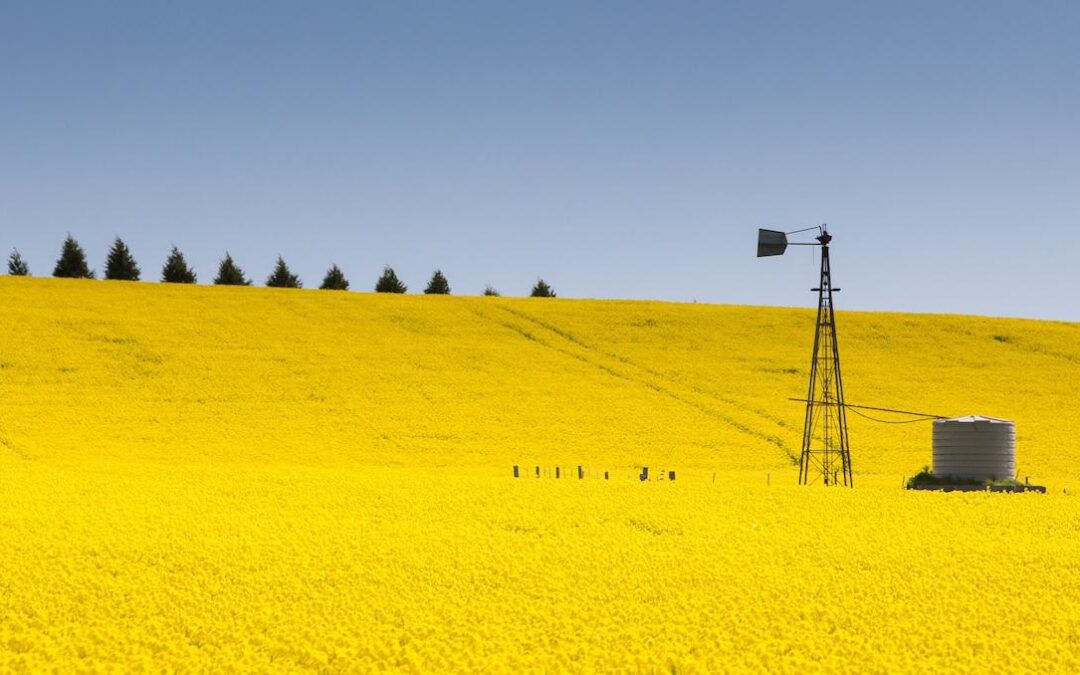 Supply shock ripples across agricultural commodities